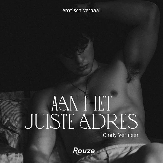 Aan het juiste adres – omslag van het luisterboek van Cindy Vermeer