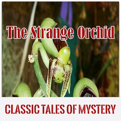 The Strange Orchid