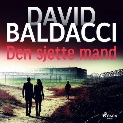 Den sjette mand – omslag til lydbogen af David Baldacci