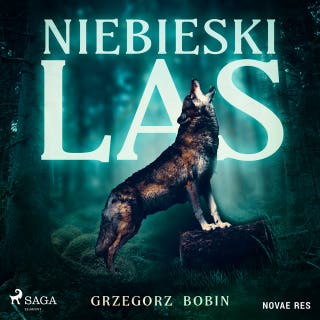 Niebieski las – okładka audiobooka, autor Grzegorz Bobin