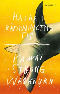 Hajar i räddningens tid – omslag till ljudboken av Kawai Strong Washburn