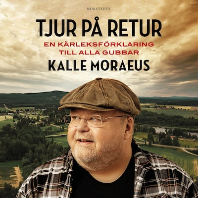 Tjur på retur : en kärleksförklaring till alla gubbar