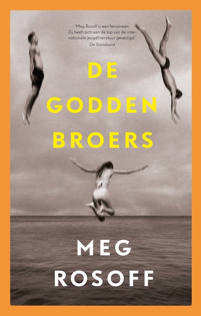 De Godden broers – omslag van het luisterboek van Meg Rosoff