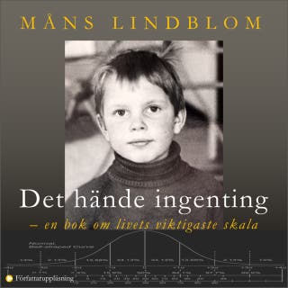 Det hände ingenting: - en bok om livets viktigaste skala – omslag till ljudboken av Måns Lindblom