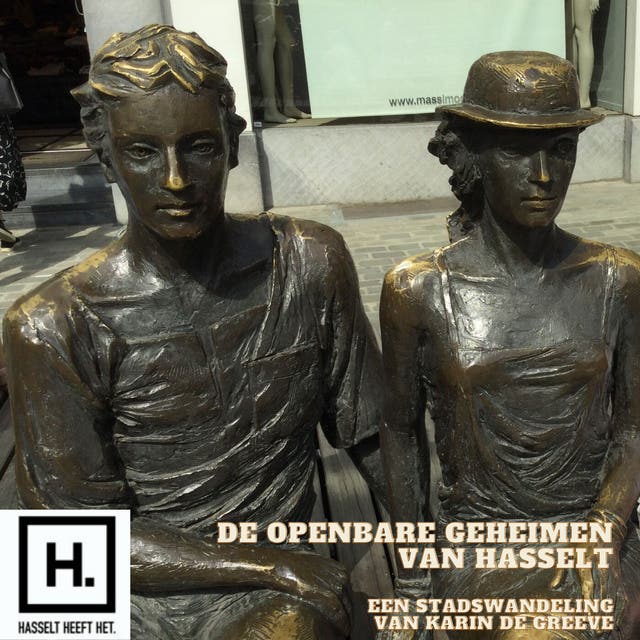 De openbare geheimen van Hasselt – omslag van het luisterboek van Karin De Greeve