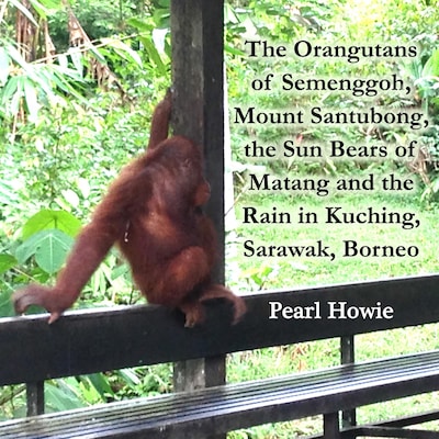 The Orangutans of Semenggoh, Mount Santubong, the Sun Bears of Matang and the Rain in Kuching, Sarawak, Borneo