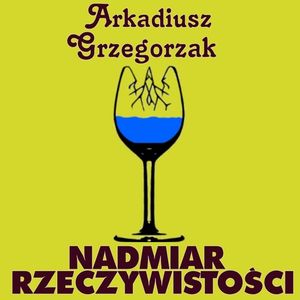 Nadmiar rzeczywistości – okładka audiobooka, autor Arkadiusz Grzegorzak, PHU Energo-System Robert Grzegorzak