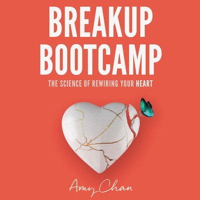 Breakup Bootcamp
