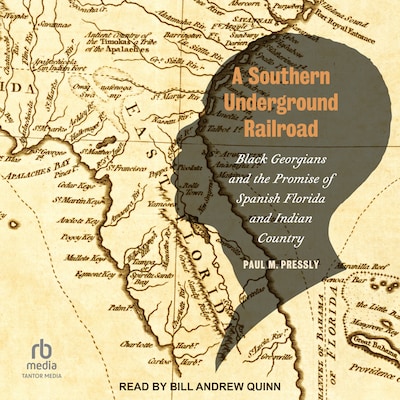 A Southern Underground Railroad – omslag til lydbogen af Paul M. Pressly