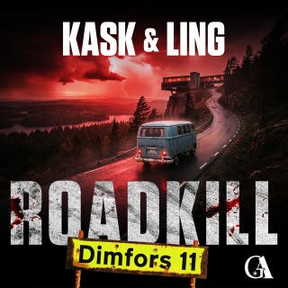 Dimfors