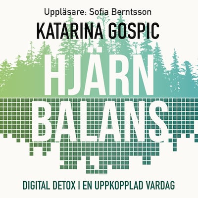 Hjärnbalans : Digital detox i en uppkopplad vardag