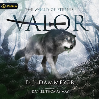 Valor – omslag til lydbogen af D.J. Dammeyer