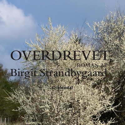 Overdrevet – omslag til lydbogen af Birgit Strandbygaard