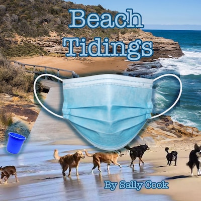 Beach  Tidings