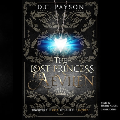 The Lost Princess of Aevilen – omslag til lydbogen af D.C. Payson