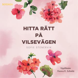 Hitta rätt på Vilsevägen – omslag till ljudboken av Sofie Stenervik
