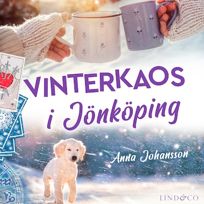 Vinterkaos i Jönköping