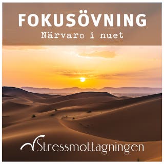 Fokusövning - Närvaro i nuet