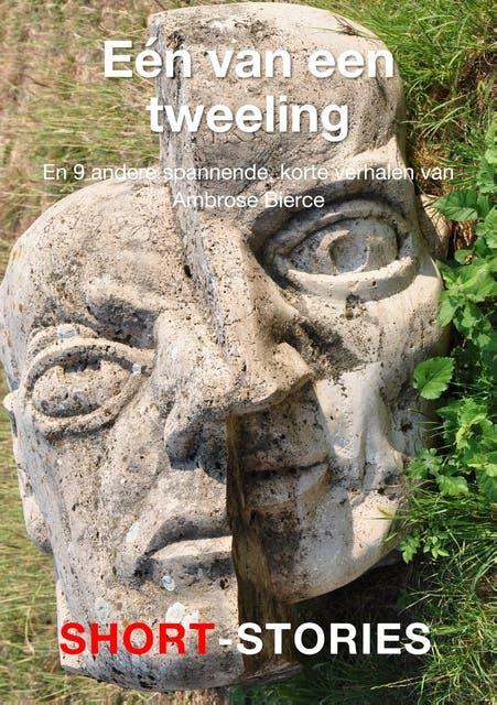 Eén van een tweeling