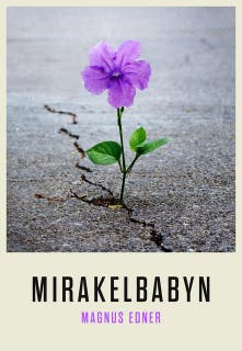 Mirakelbabyn – omslag till ljudboken av Magnus Edner