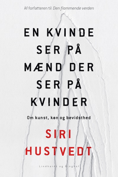 En kvinde ser på mænd der ser på kvinder – omslag til lydbogen af Siri Hustvedt