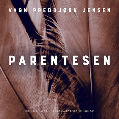 Parentesen – omslag til lydbogen af Vagn Predbjørn Jensen