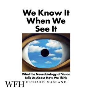 We Know It When We See It – okładka audiobooka, autor Richard Masland