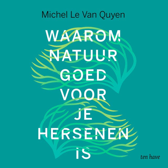 Waarom natuur goed voor je hersenen is: Een neurowetenschappelijke verklaring