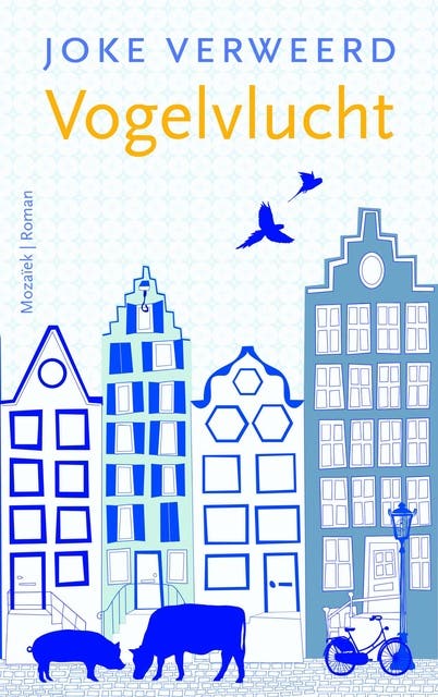 Vogelvlucht – omslag van het luisterboek van Joke Verweerd