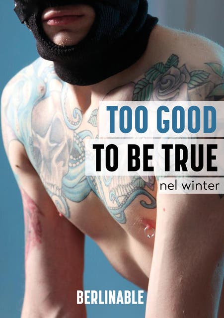 Too Good To Be True – omslag til lydbogen af Nel Winter