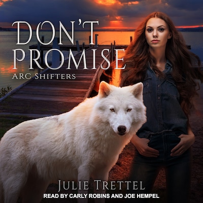 Don't Promise – omslag til lydbogen af Julie Trettel