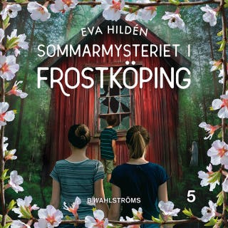 Sommarmysteriet i Frostköping 5