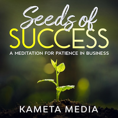 Seeds of Success: A Meditation for Patience in Business