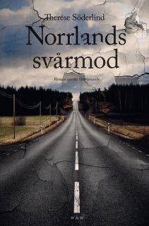 Norrlands svårmod : Roman om ett försvinnande – omslag till ljudboken av Therése Söderlind