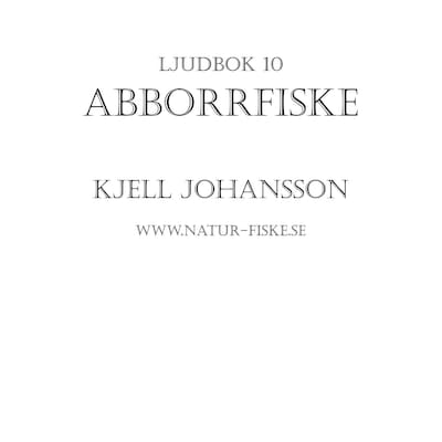 Abborrfiske