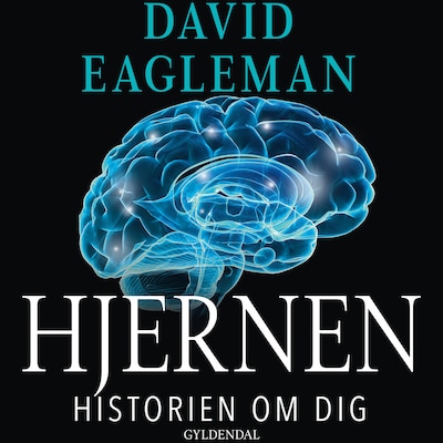 Hjernen – omslag til lydbogen af David Eagleman