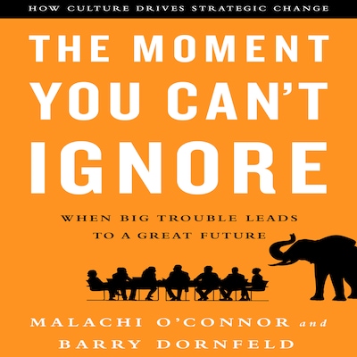 The Moment You Can't Ignore – omslag til lydbogen af Barry Dornfeld, Malachi O'Connor