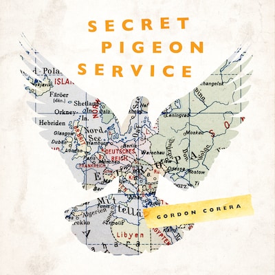 Secret Pigeon Service