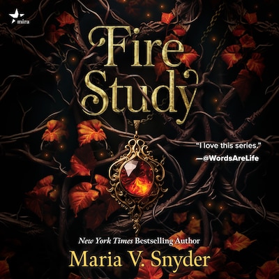 Fire Study