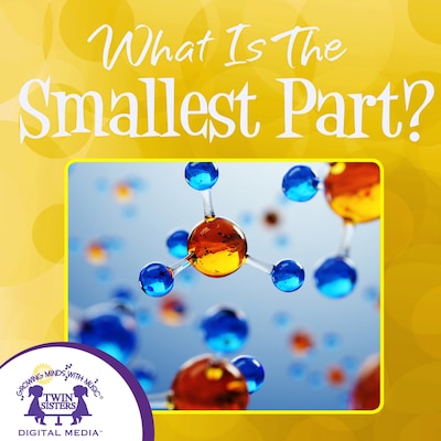What Is The Smallest Part