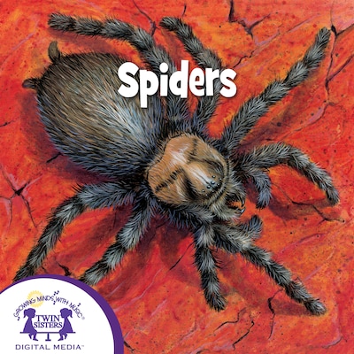 Spiders