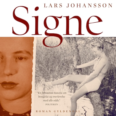 Signe – omslag til lydbogen af Lars Johansson