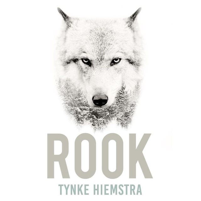Rook – omslag van het luisterboek van Tynke Hiemstra