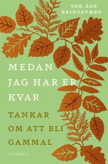 Medan jag har er kvar – Tankar om att bli gammal – omslag till ljudboken av Tor-Åge Bringsværd