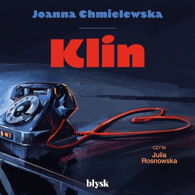 Klin – okładka audiobooka, autor Joanna Chmielewska