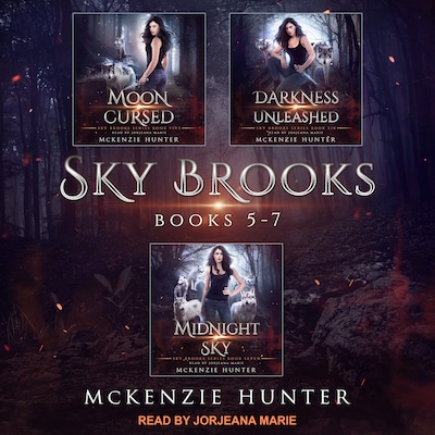 Sky Brooks – omslag til lydbogen af McKenzie Hunter