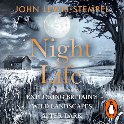 Night Life – omslag til lydbogen af John Lewis-Stempel