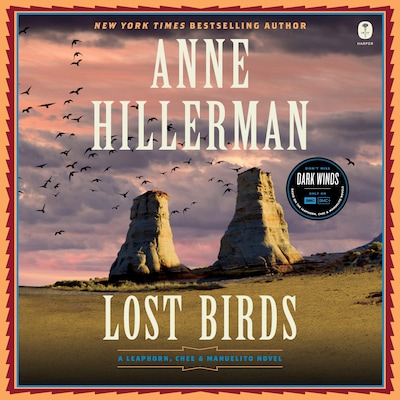 Lost Birds