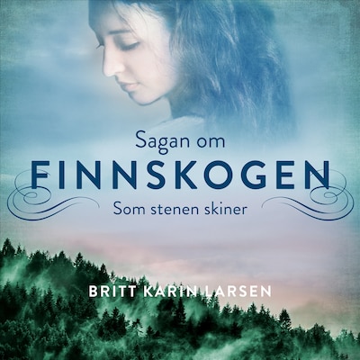 Som stenen skiner