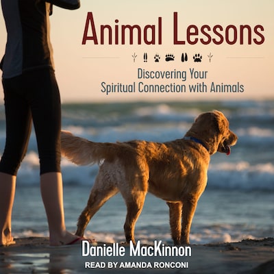 Animal Lessons – omslag til lydbogen af Danielle MacKinnon